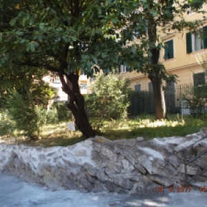 Cura aiuola Via Rosselli