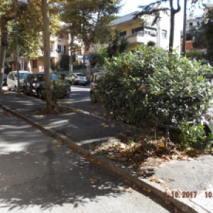 Aiuole v. G. Bruno