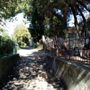 Gestione giardini Liri