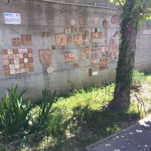 Giardino scuola infanzia Mimosa