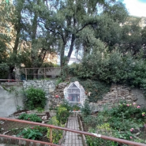 Cura aiuole Madonna della Speranza