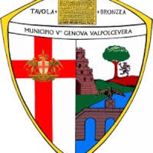 Logo municipio V