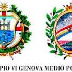 Logo municipio VI