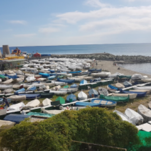 cura della spiaggia di Punta Vagno