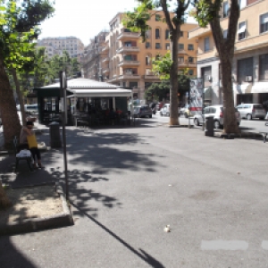 Cura aiuola Via Cecchi